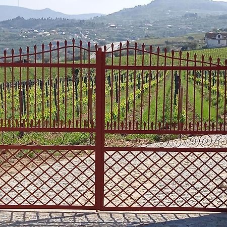 Quinta Do Passadico Villa Lamego Bagian luar foto