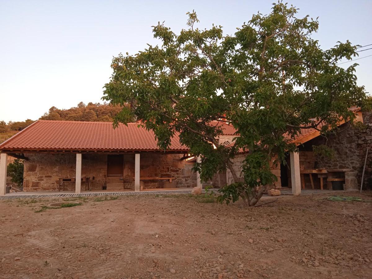 Quinta Do Passadico Villa Lamego Bagian luar foto