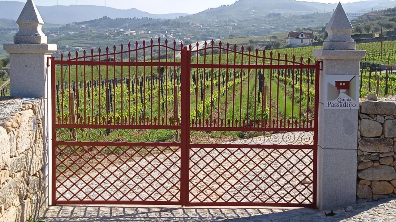 Quinta Do Passadico Villa Lamego Bagian luar foto