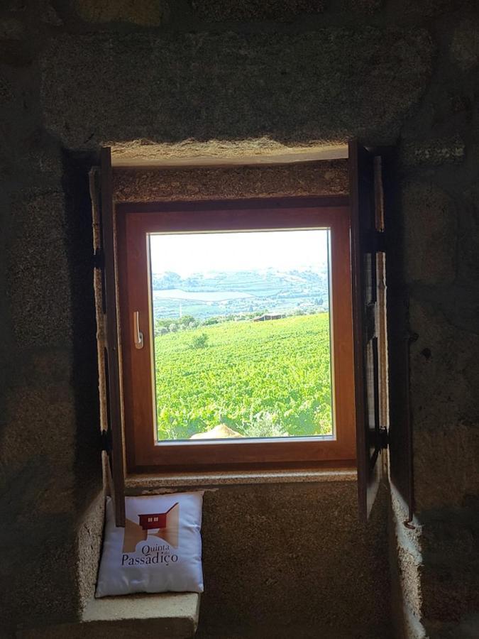 Quinta Do Passadico Villa Lamego Bagian luar foto
