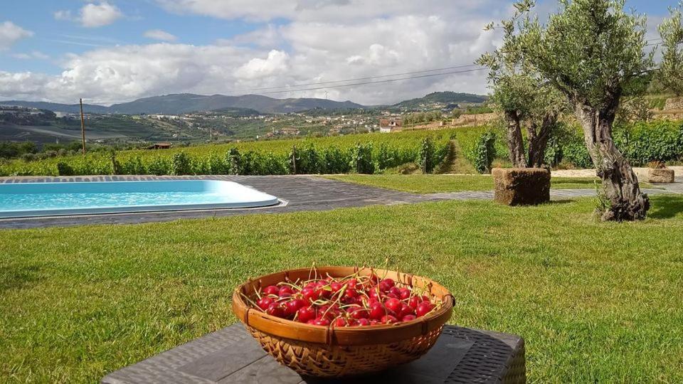 Quinta Do Passadico Villa Lamego Bagian luar foto